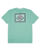 Billabong Boys Boxed In T-Shirt