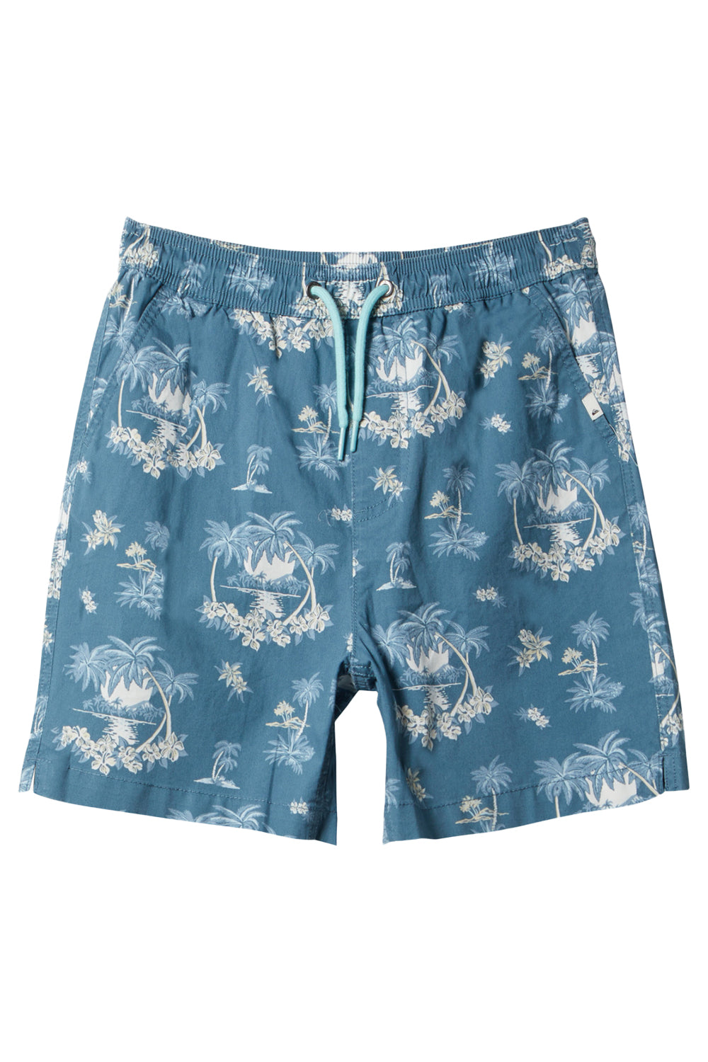 Quiksilver Boys (8-16) Palm Spritz Elasticated Waist Walk Shorts