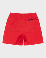 Quiksilver Boys (8-16) Everyday Volley 15" Swim Shorts