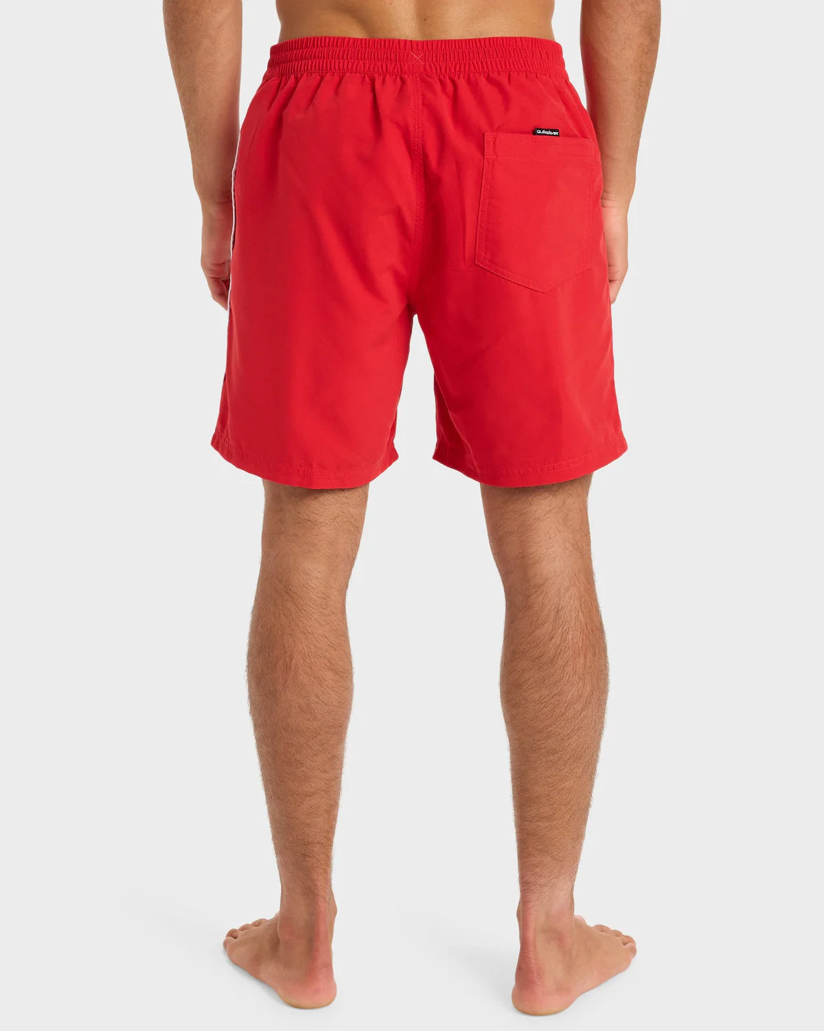 Quiksilver Mens Everyday Volley 17" Swim Shorts