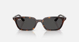 Ray Ban Zaya Sunglasses
