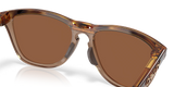Oakley Frogskins Range XL Sunglasses