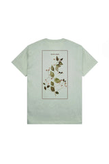 Passport Lantana Tee