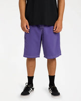 Billabong Mens Throw On 22" Boardshorts