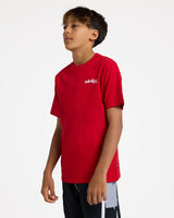 Quiksilver Boys 8-16 YG Spray T-Shirt