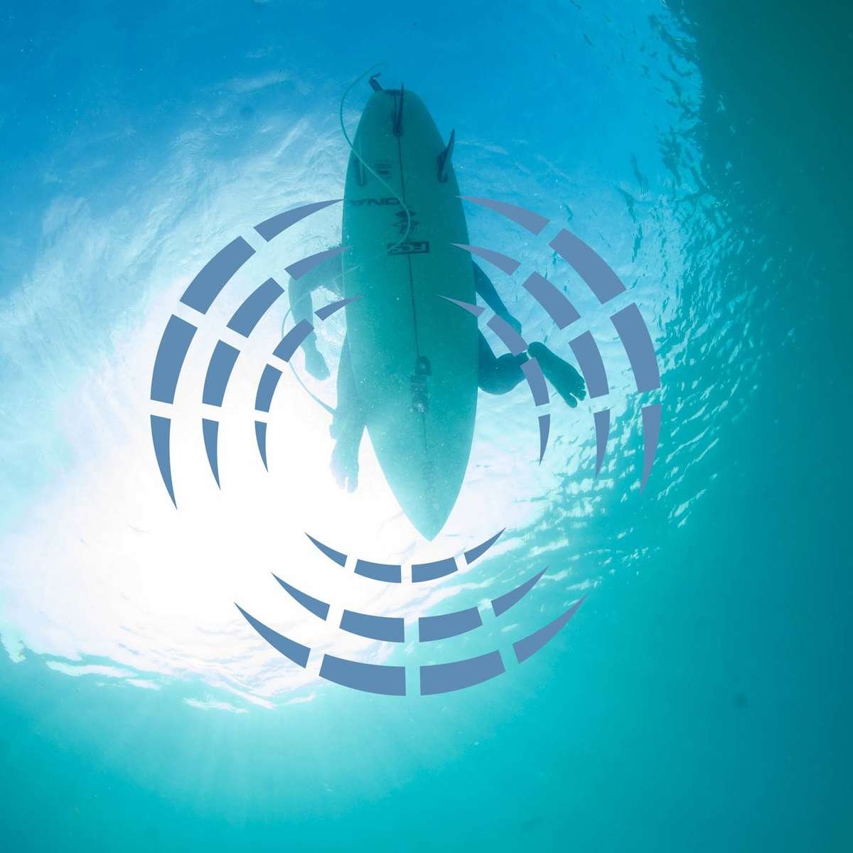 FCS x Sharkbanz Pod Surf Shark Deterrent