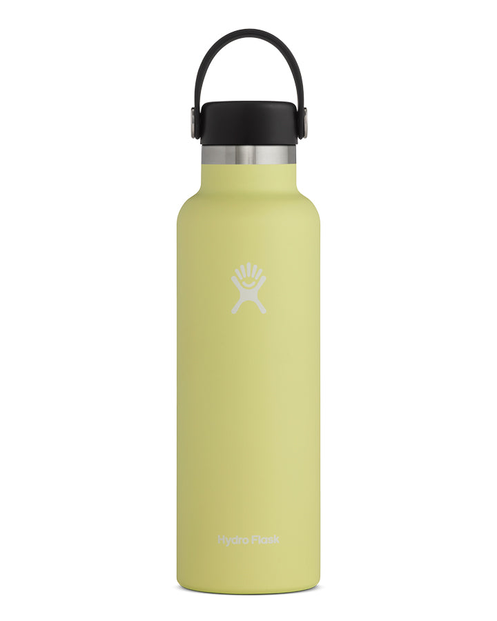 Hydro Flask Hydration 21oz Standard Drink Bottle