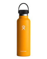 Hydro Flask Hydration 21oz Standard Drink Bottle