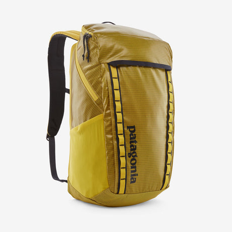Patagonia Black Hole 32L Backpack