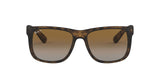 Ray Ban Justin Rubber Unisex Sunglasses