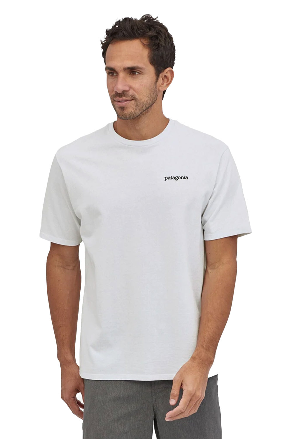 Shop Patagonia | Men's Fitz Roy Horizons Responsibili-Tee